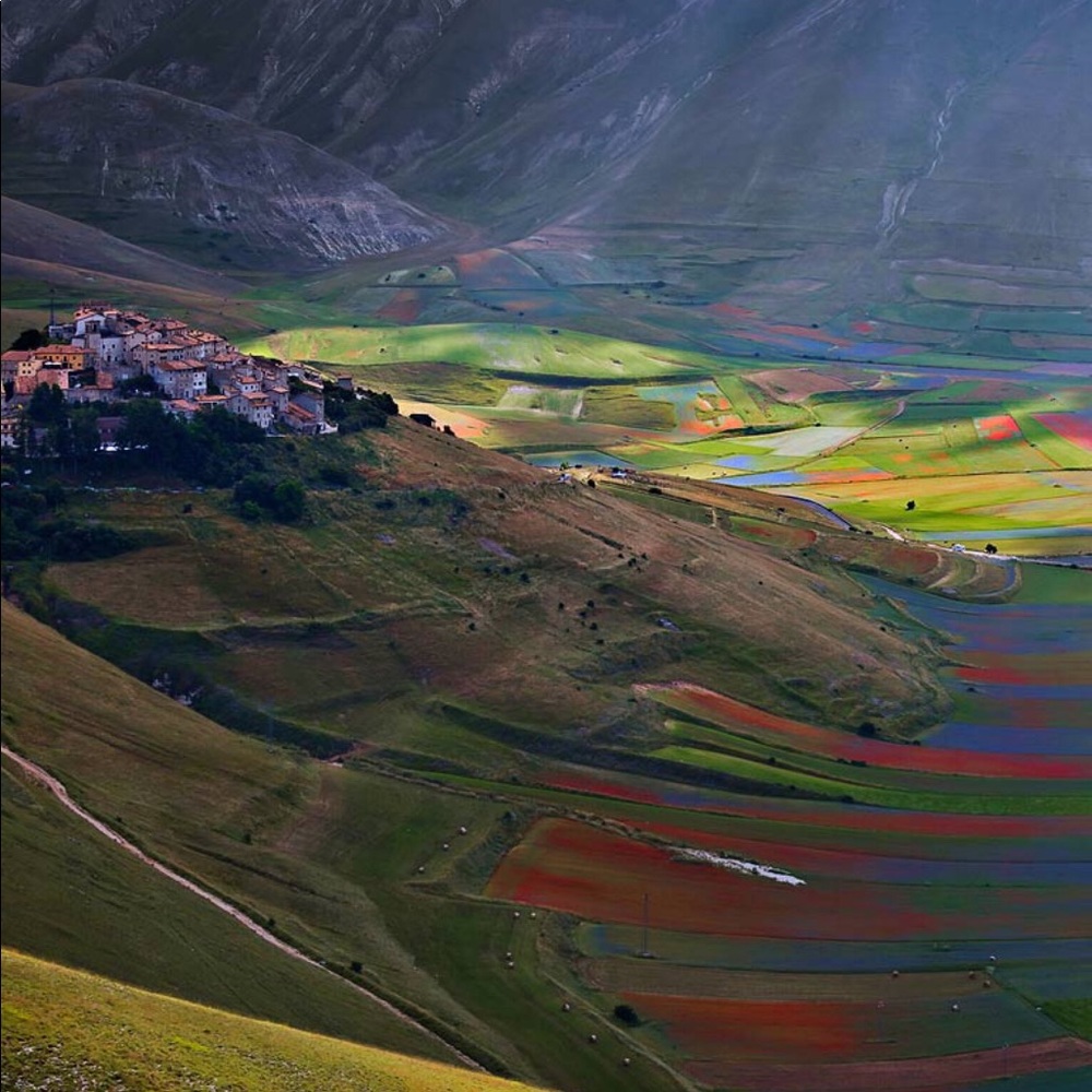 Meet your Posher, Jill